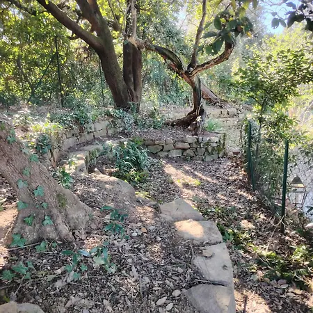 Giardinoterapeuticoinvilla Farm stay *