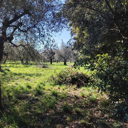 Farm stay Giardinoterapeuticoinvilla