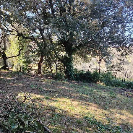 Giardinoterapeuticoinvilla Florenz