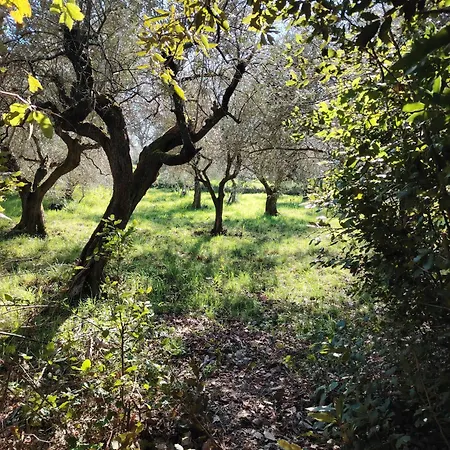 Giardinoterapeuticoinvilla Bauernhof *
