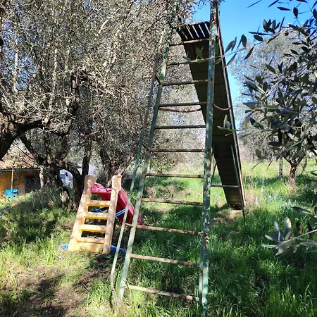 Bauernhof Giardinoterapeuticoinvilla Florenz